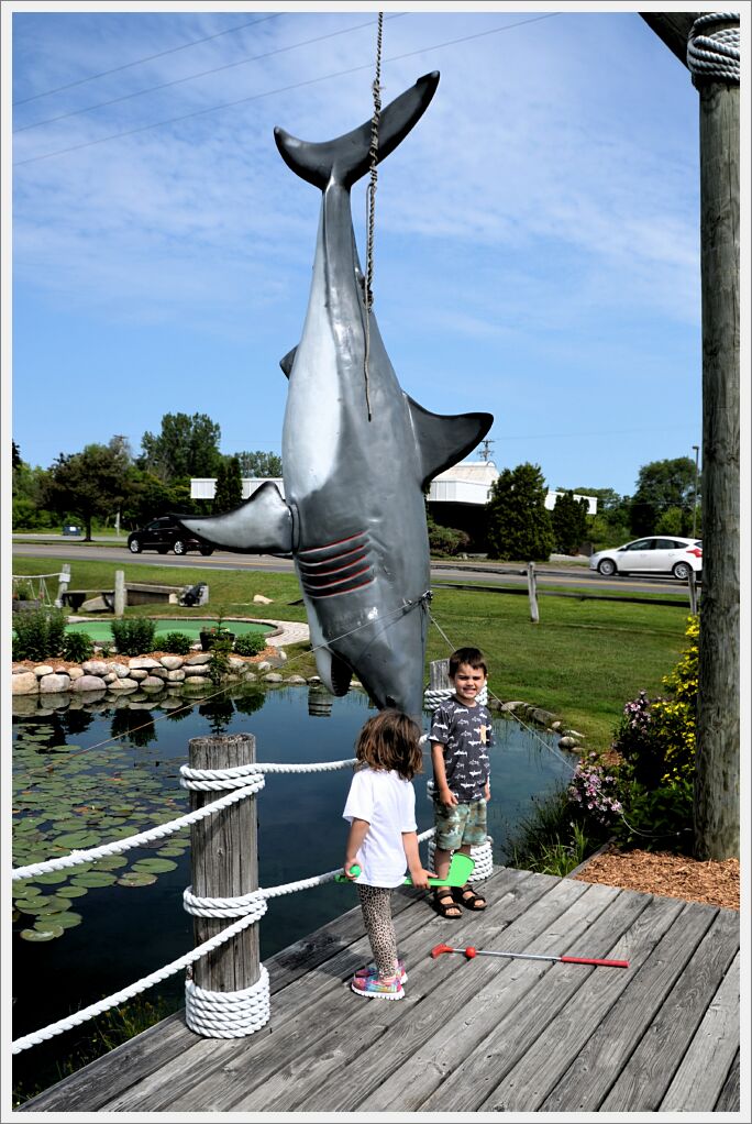 Shark golf